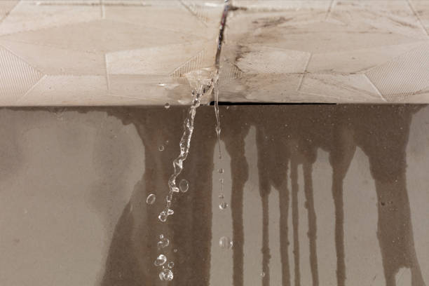 Professional Structural Drying technician working in Brush Creek, TN